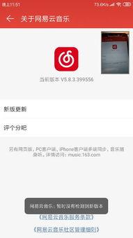 网易云大佬爆料视频下载,视频下载攻略，轻松获取热门视频！