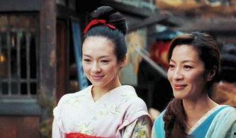 艺妓回忆录电影在线观看,穿越时光的华丽传奇  第3张
